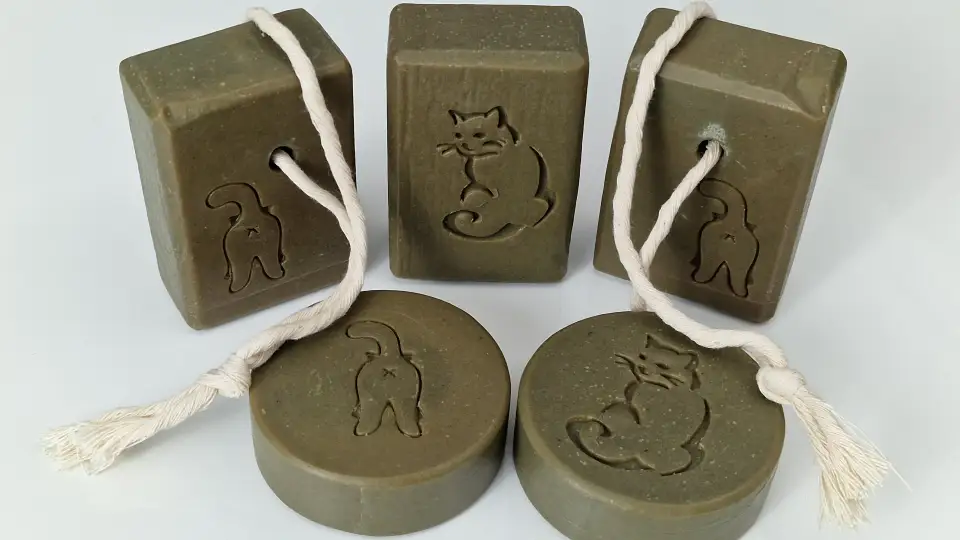 Avocado Cat cover photo