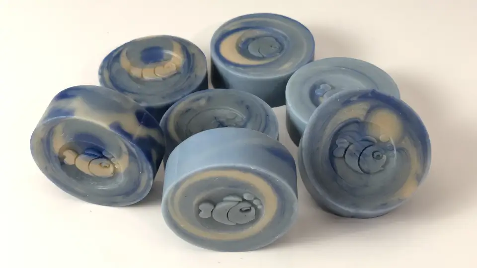 Fishy fish cover photo